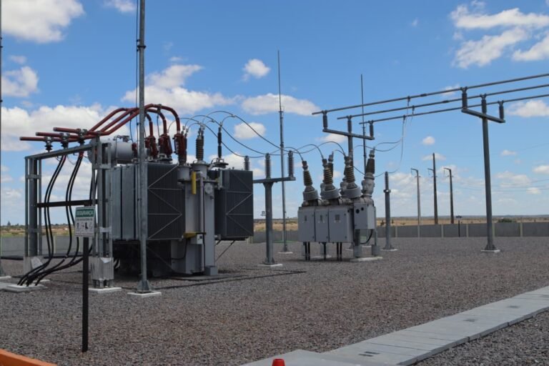 WhatsApp Image 2025-11-13 at 15.56