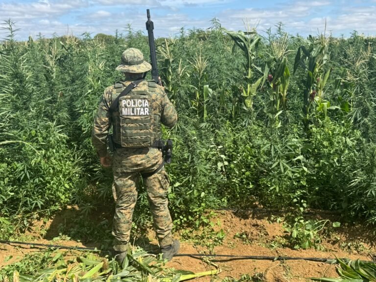 WhatsApp Image 2025-11-29 at 14.25