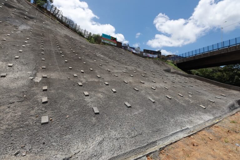 809c0ec6-e6d3-4eb6-829a-3ab9dcbd1c14