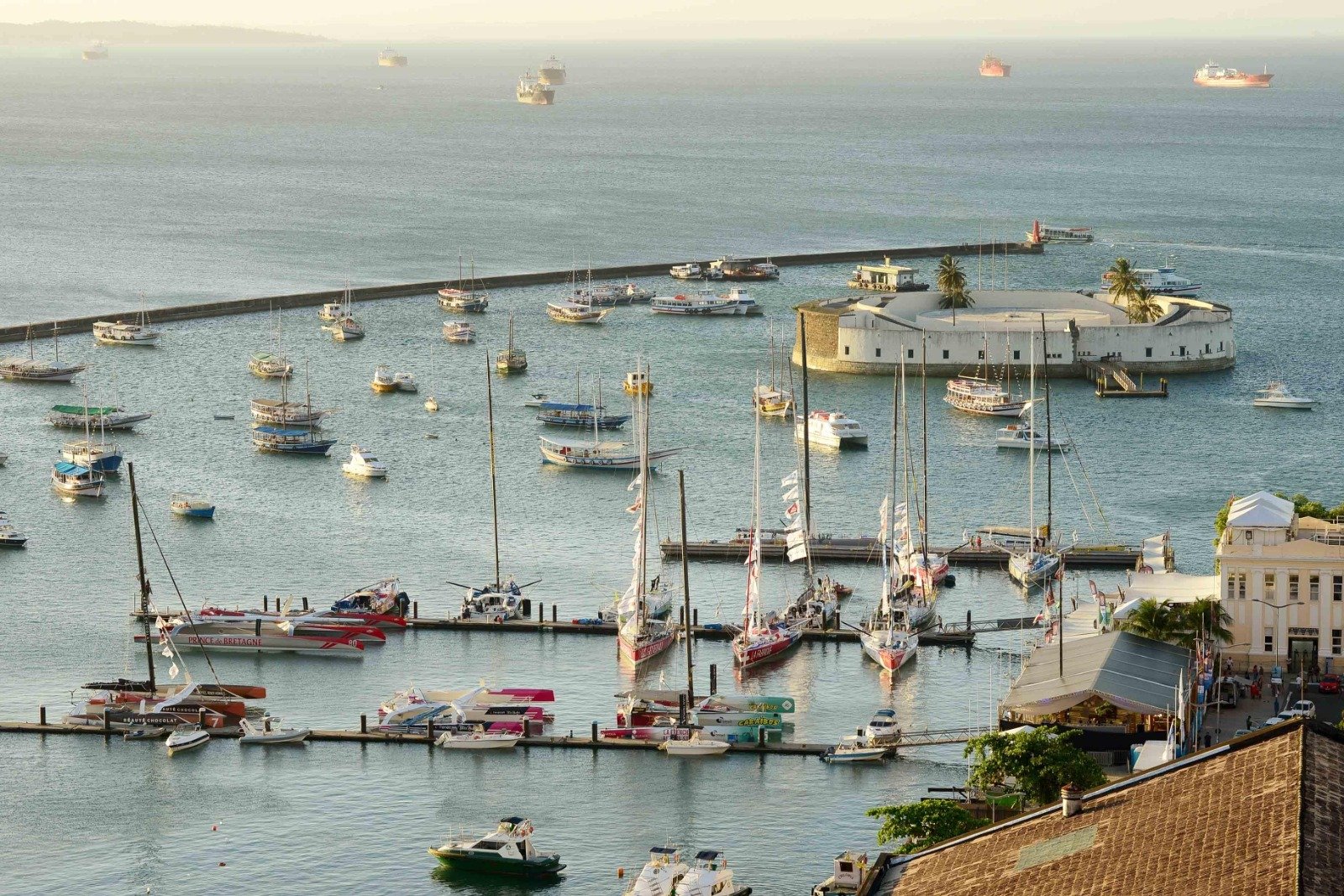 657010ce-97f4-4807-abee-1556a06fbec5