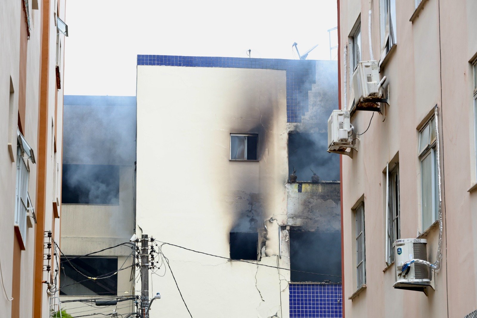 d5268288-6e33-4a18-b155-d6bd3f508a7c