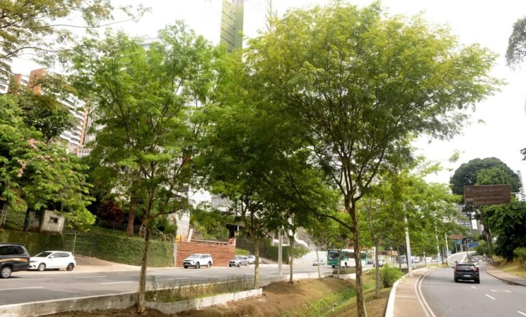 3c512023-afea-482b-98c3-04c0daf457ce