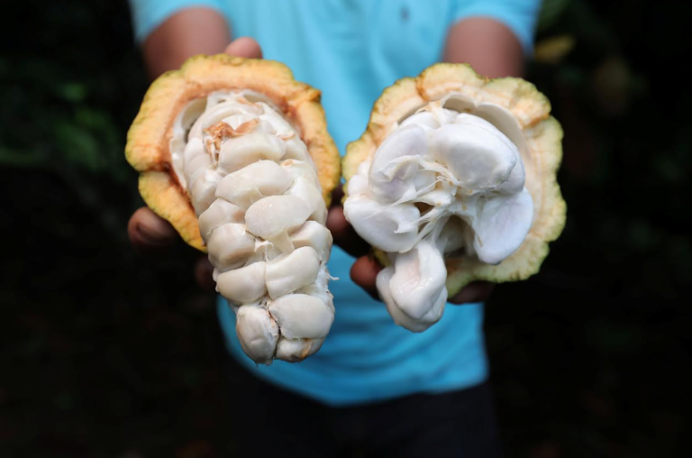 Captura de tela 2026-03-26 144053