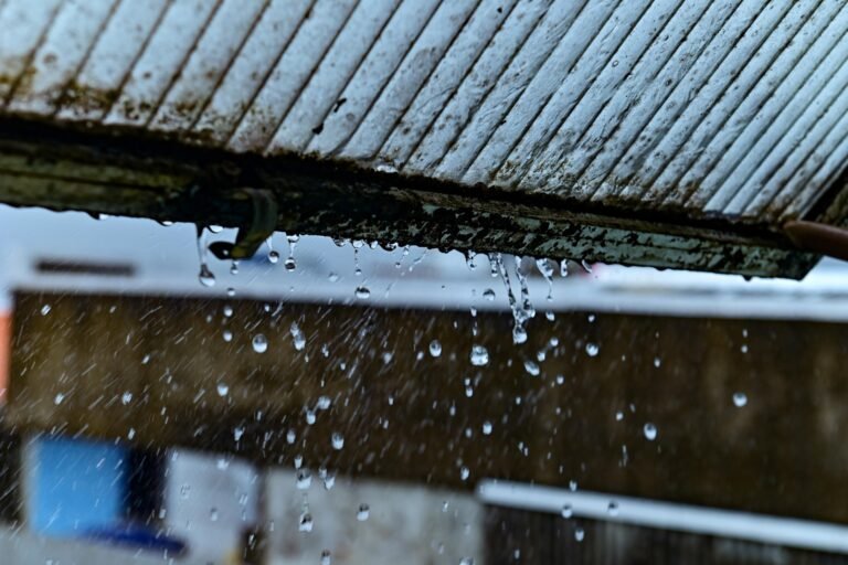 27709563-f423-42eb-a044-de685140394b