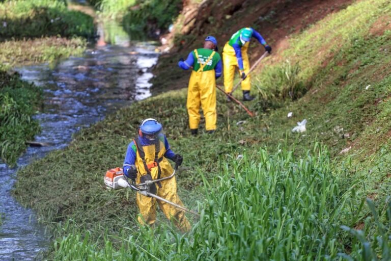 2913fda5-3033-477f-af28-89740f749730