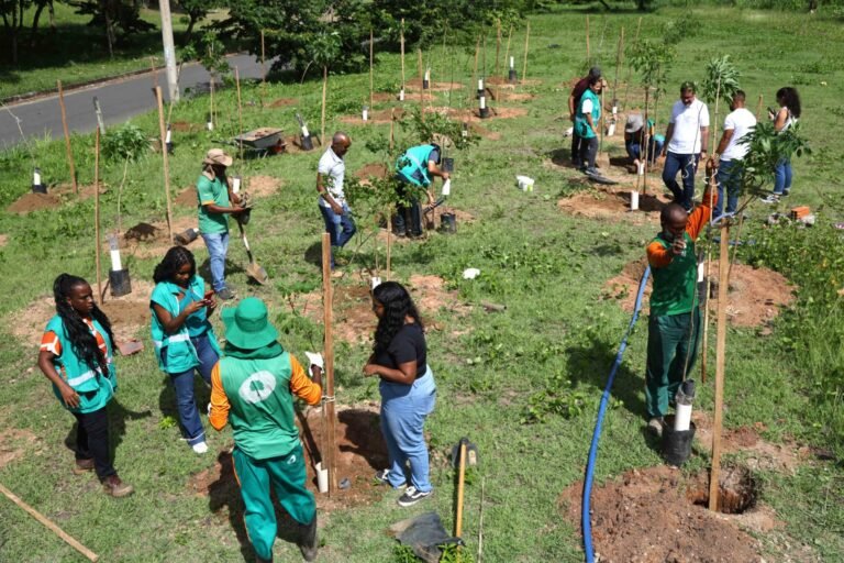 711e2d37-98af-414d-86a0-dd9dccf8fa28