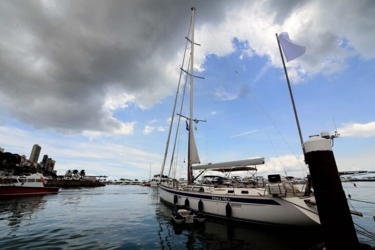 8358afc6-d9cf-4bf6-8ac0-92604a85b7c2