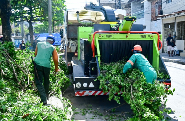 Captura de tela 2026-04-08 135022