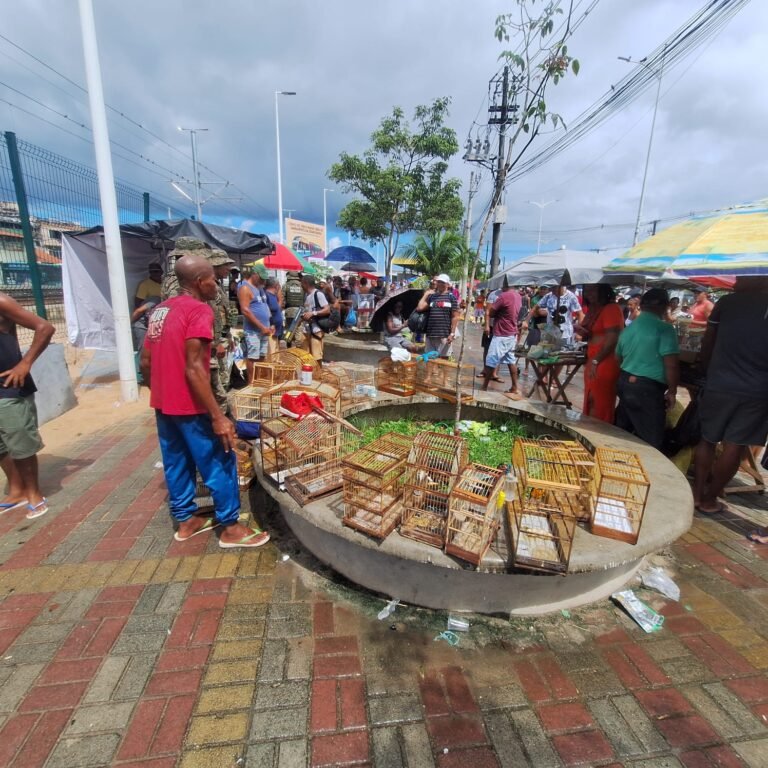 WhatsApp Image 2026-04-26 at 15.10