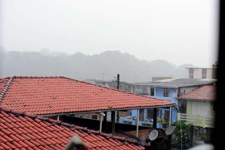 dba8905d-dbbb-44f0-bb5e-47a226d68e65